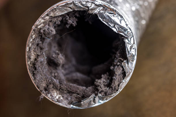 Best HVAC Maintenance and Cleaning  in New Port Richey East, FL