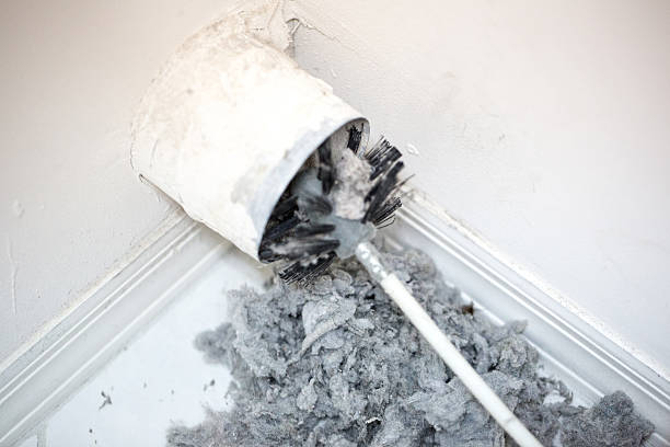 Best Ventilation Cleaning Services  in New Port Richey East, FL