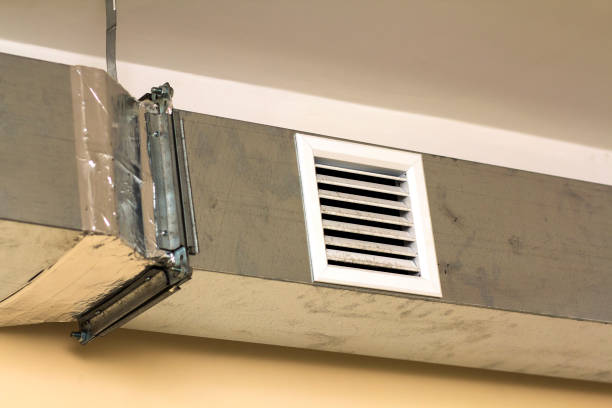 Best Dryer Vent Cleaning Services  in New Port Richey East, FL
